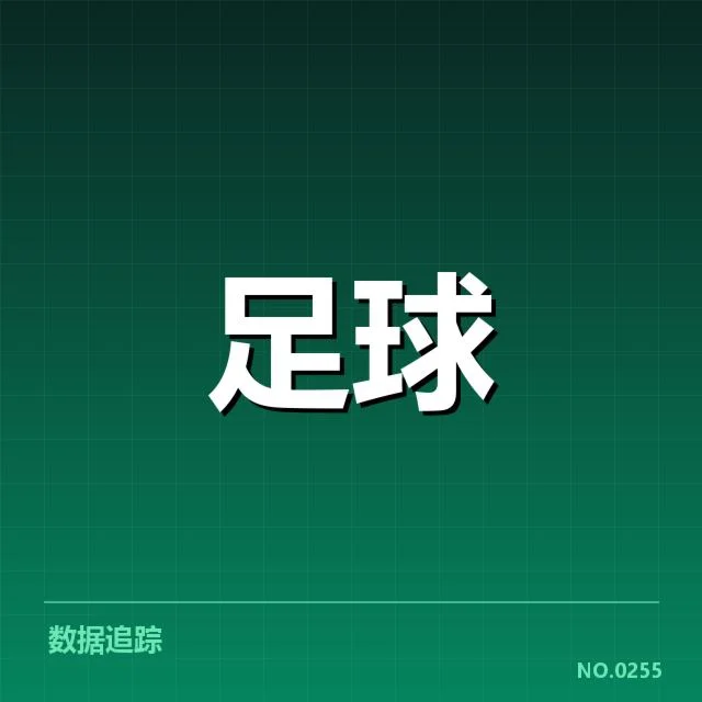足总杯各阶段裁判名单及执行情况